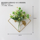 墙上装饰品挂件墙上水培花瓶壁挂创意餐厅墙面壁饰挂件家居客厅背 菱形试管水培+64小绣球绿色