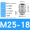 斯汀旭不锈钢格兰头防爆密封金属填料函电缆防水接头 M25*1.5线径13-18毫米 