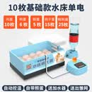 CLCEY小鸡孵化器全自动2024小型家用型智能芦丁鸭鹅孵蛋器鹦鹉孵化箱 10枚水床单电