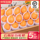 优味集【顺丰快递】枇杷新鲜水果云南蒙自琵琶止咳整箱鲜果中秋节日礼品 净重1000g（严选优果18-30g）