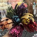 [新客立减]南非进口油画公主真花干花永生花diy居家装饰 5支（备注颜色 不备注颜色随机） 1支 南非公主花