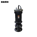 聚鑫博纳 污水泵 150mm 个