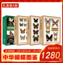 【现货速发】官方正版 中华蝴蝶图鉴（全4卷）套装昆虫图鉴凤蝶科粉蝶科展示不同蝴蝶的雌雄季节地区差异蝴蝶辞典艺术自然科普百科类书籍读本 海峡书局