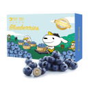 国产蓝莓 原箱 12盒装 125g/盒  新鲜水果