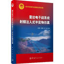 雷达电子战系统射频注入式半实物仿真 刘佳琪, 吴惠明, 饶彬, 等 中国宇航出版社