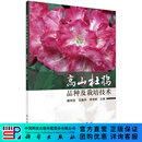 [按需印刷]高山杜鹃品种及栽培技术/解玮佳，王继华，李世峰 科学出版社