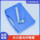 小动物麻醉咽喉镜给药喉镜小鼠大鼠用气管插光纤管喉镜 小鼠/大鼠冷光源喉镜