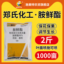 施美特郑氏化工98%胺鲜酯原粉植物生长调节剂DA-6保花保果农药 胺鲜酯1公斤*1代