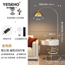 一世一屋北欧钓鱼灯落地灯客厅沙发旁卧室床头置物柜一体轻奢茶几立式灯 金色+抽屉+USB无线充电+12瓦智能