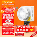 神牛（Godox）ML100Bi摄影灯双色温可调便携夜拍灯人像补光灯户外控制室电影视频摄像灯  ML100Bi【官方标配】