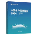 中国电力发展报告 2024