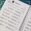有声简谱经典歌曲集活页版 212首流行歌经典老歌红歌带伴奏动态谱