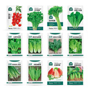 北蔬 各种蔬菜种子生菜菠菜香菜小香葱芹菜阳台四季菜籽 12种蔬菜种子