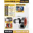 润玺DF离心风机耐高温220V引风机工业鼓风机强力罗茨风机抽风机 DF-10 2200W耐高温220V