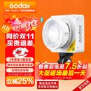 神牛（Godox）ML100Bi摄影灯双色温可调便携夜拍灯人像补光灯户外控制室电影视频摄像灯  ML100Bi【官方标配】