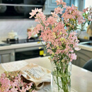 云南蓝色小飞燕鲜花云南基地直发办公家用室内水养鲜切花 粉色小飞燕1扎 B 40-50左右