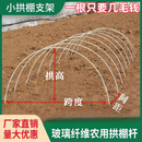 厂家直销拱棚支架玻璃纤维搭棚纤维杆花棚防虫秧苗蔬菜弓子玻璃纤 200根 10MM直径 4米长