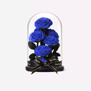 6朵玫瑰永生花玻璃罩玫瑰真花干花束情人节礼物送女朋友生日礼物 怦然心动蓝色17.5*26.5cm 怦然心动17.5*26.5cm 永生玫瑰花