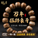 琅清猛犸象牙手串男士咖啡料高瓷度双色文玩佛珠配饰珠女手链12*13mm