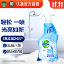 滴露（Dettol）浴室清洁剂750ml玻璃厕所卫生间马桶清洁剂泡沫洁厕液喷雾