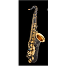 雅马哈（YAMAHA）新款专业演奏降E调中音萨克斯乐器YAS62 875EX 黑镍金键降B次中音YTS875