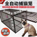 人道救助捕猫笼户外捉猫狗神器超大抓野猫耗子家用夹子逮猫器 绚金黑                  长60高