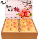 阳山水蜜桃 正宗无锡阳山水蜜桃白凤桃 时令水果桃子礼盒 一级果4-5两12个礼盒装净重5斤多