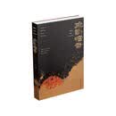 新龙门客栈剧本手稿：疏影暗香（何冀平经典剧本集）