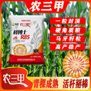 棒博士R85玉米种子升级版紫金版红轴大棒抗病抗倒伏矮杆抗旱 20袋宋6袋