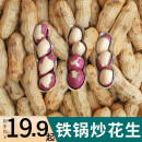 驼背熊新货山东铁锅现炒熟花生原味5斤装红皮炒花生带壳香脆特大农家 四粒红皮 大花生(5斤)