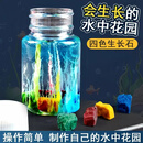 氏言良品儿童实验水中花园diy化学小学生科学制作硅酸纳生长石魔术石玩具 水中花园（1套）配说明书