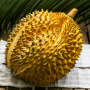 时茂正宗金枕榴莲高端榴莲礼盒新鲜应季水果报恩榴莲水果礼盒装 【精选实惠】200斤