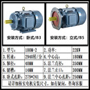 惠利得立式/卧式三相电机YE2-132S-4 5.5KW7.5/11/15/18.5KW380V电动机 YE2-180M-2 22KW