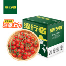 绿行者（GREER）樱桃番茄2kg500g*4盒 源头直发串爽脆甜小西红柿生鲜水果