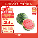 京鲜生 无籽麒麟西瓜 1粒装 单果5-7斤 生鲜水果