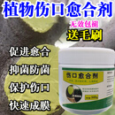树木伤口愈合剂植物嫁接切口涂抹剂果树苗木花卉修剪封口胶促活液 【500g】腐烂剪锯疤口赠涂抹刷