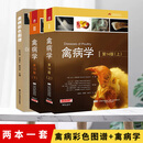 禽病学 第14版 禽病彩色图谱 家禽病治疗诊断病预防书籍 兽医应用书籍 家禽常见病书 鸡鸭鹅养殖疾病诊断治疗书籍