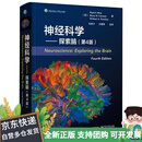 【全新正版，京仓直发】神经科学--探索脑(第4版)(精)