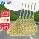 姚河竹扫把大号老式马路扫帚庭院户外扫把工厂车间专用笤帚一体五把装