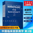 中国临床皮肤病学 第2版