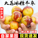 康田汇 陕西大荔冬枣新鲜 冬枣脆甜冰糖鲜枣整箱送礼当季时令甜枣子 精选2盒装【180g/盒】个个美味 单果10g+【甜】