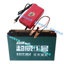 定制12伏12安12V12a12V12AH铅酸蓄电瓶 照明适配 12V32.2AH+12V充电器