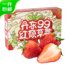 京鲜生 丹东99红颜草莓2.8斤 单果20-30g 生鲜水果 源头直发 包邮