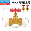 PPR截止阀双活接黄铜PPR闸阀4分20自来水管热熔6分25阀门开关1寸 PPR活接截止阀DN25(6分)