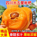 梓乐果四川攀枝花米易枇杷新鲜孕妇水果当季特级大五星批把高山琵琶琵笆 5斤 5A精品果王  50-70g礼盒装