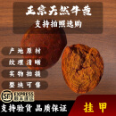 牛黄中药材 天然牛胆黄 牛黄粉 牛结石牛管黄 干货 天然牛黄 牛黄20克 天然牛黄