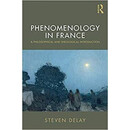 预订  Phenomenology in France: A Philosophical and Theological Introduction 法国的现象学：哲学和神学