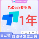 ToDesk远程控制软件兑换码会员专业版 游戏版 性能版 全球节点 1年专业版本