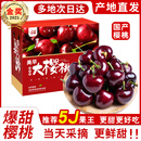 JDBMO大连美早大樱桃国产车厘子【JD-多地次日达】新鲜水果送礼物品盒 3斤(净重)  巨无霸3J 单果30-32mm