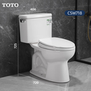 TOTO马桶CSW718B虹吸式防臭家用静音节水智洁CSW719B分体式座便器 CSW718（送货入户） 305mm